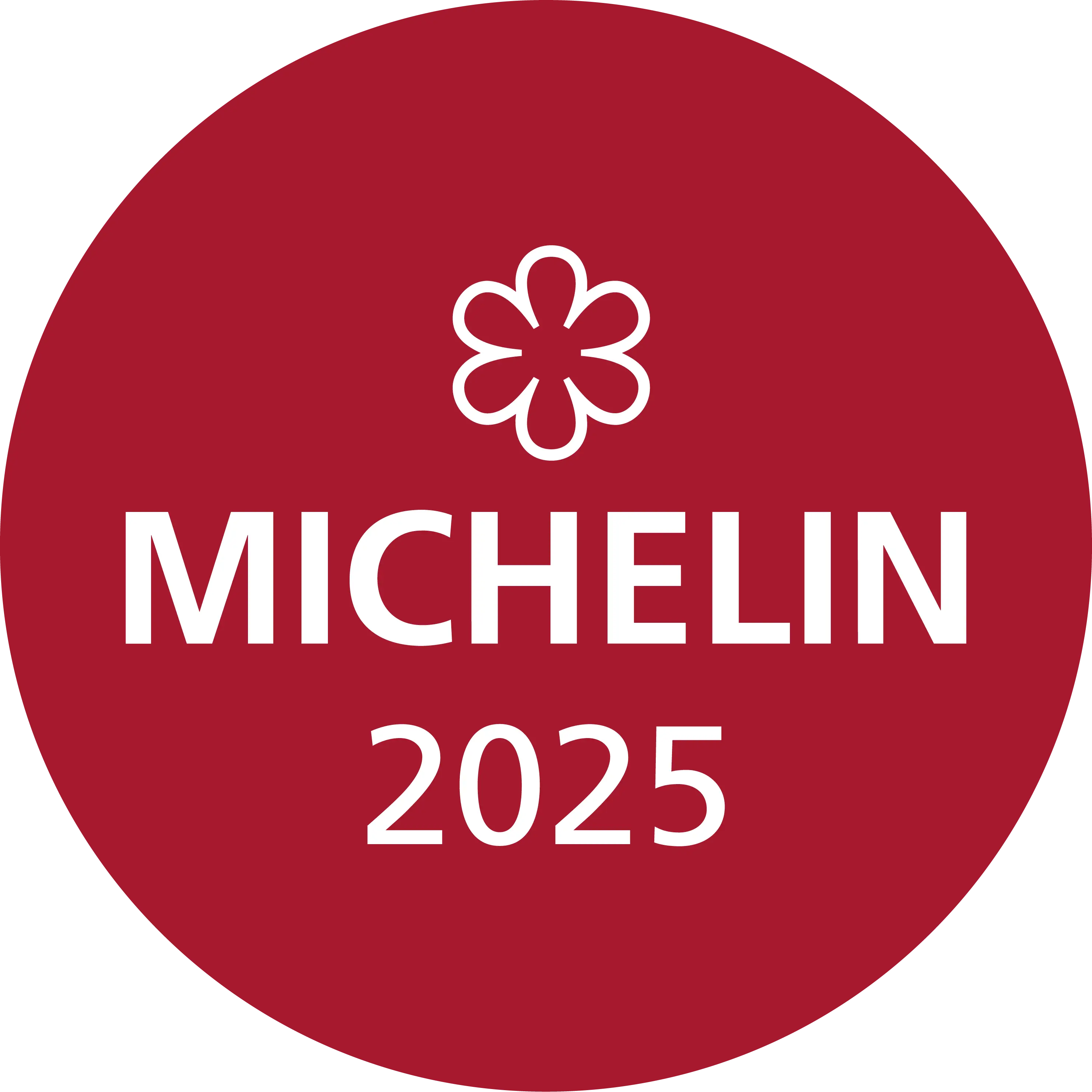 MICHELIN 2025_1 Star_E-label