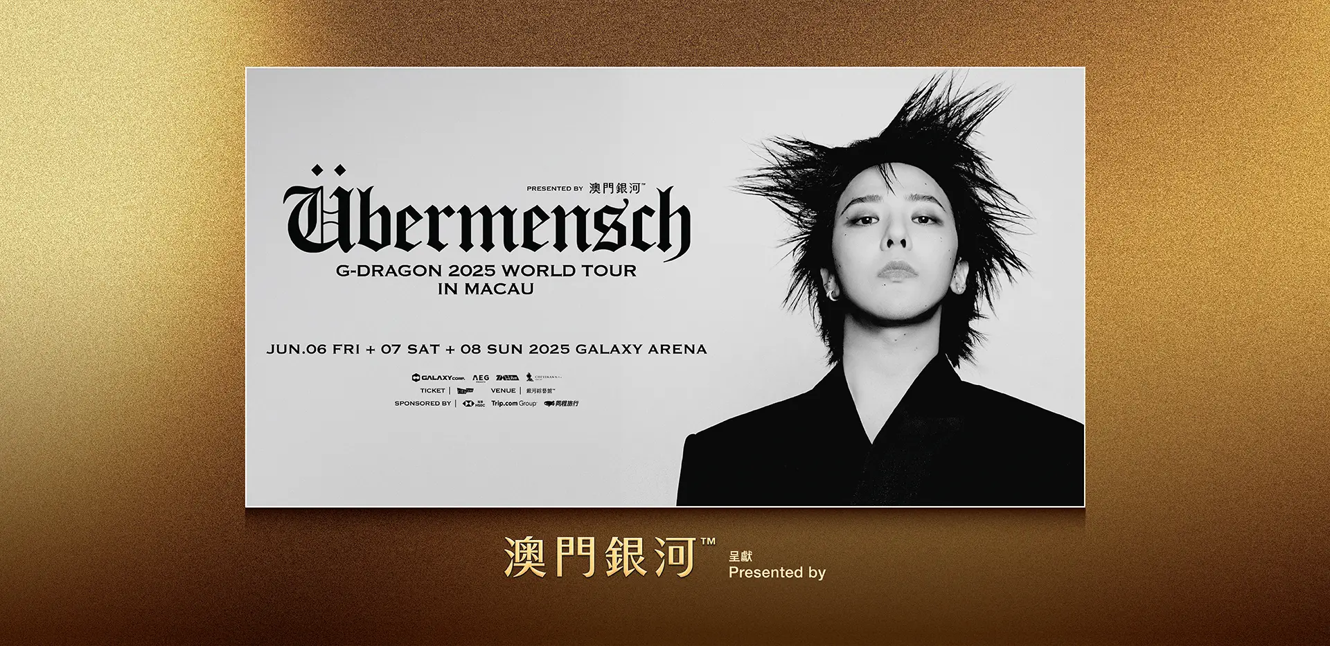 GD_Website hero banner_1920x933