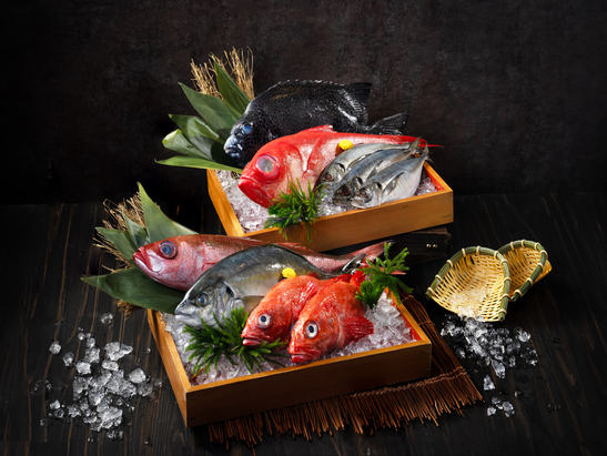 Kyo Watami menu_547x411