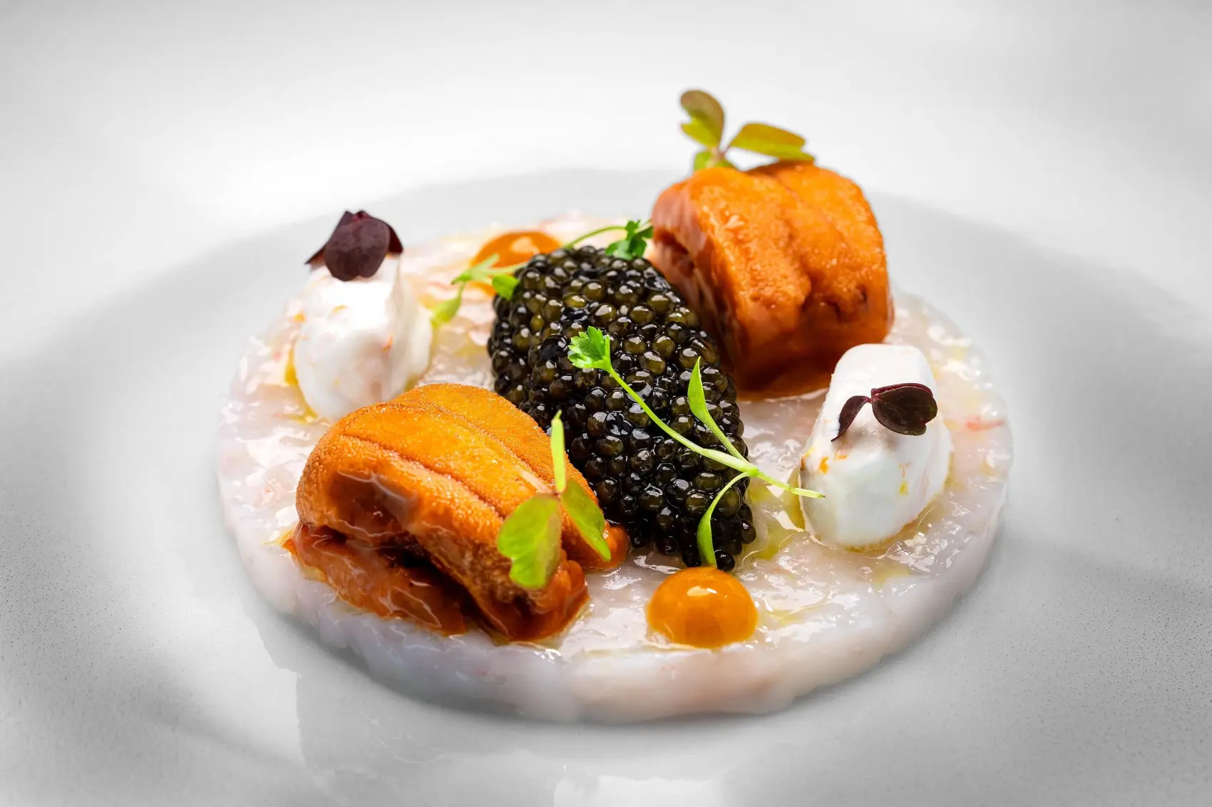 Dish 1