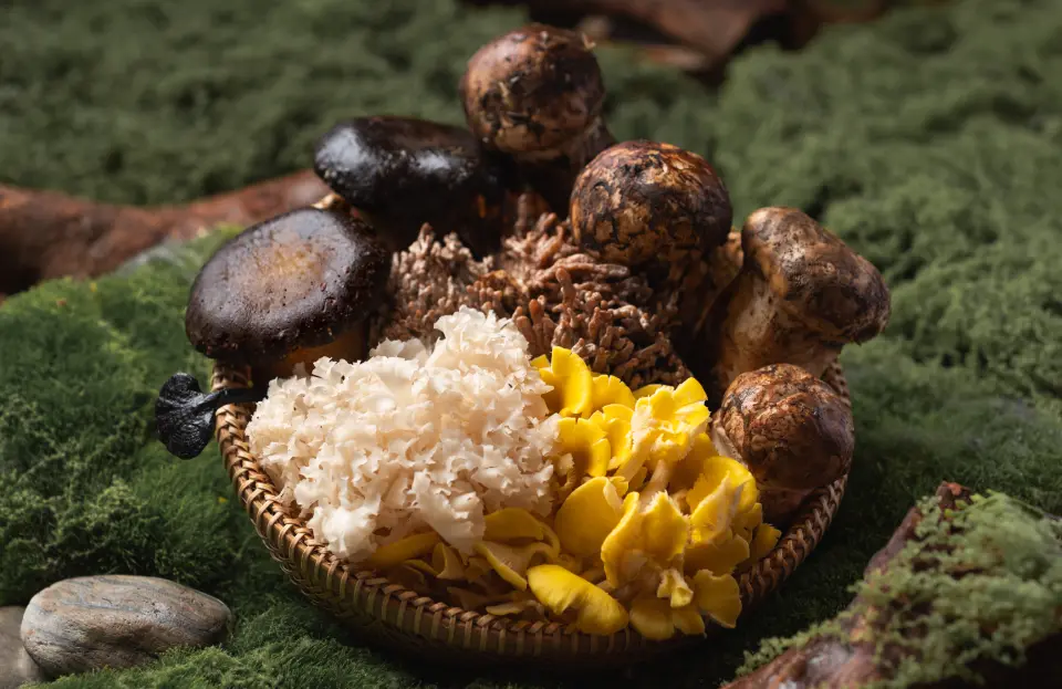 Mushroom_960x623