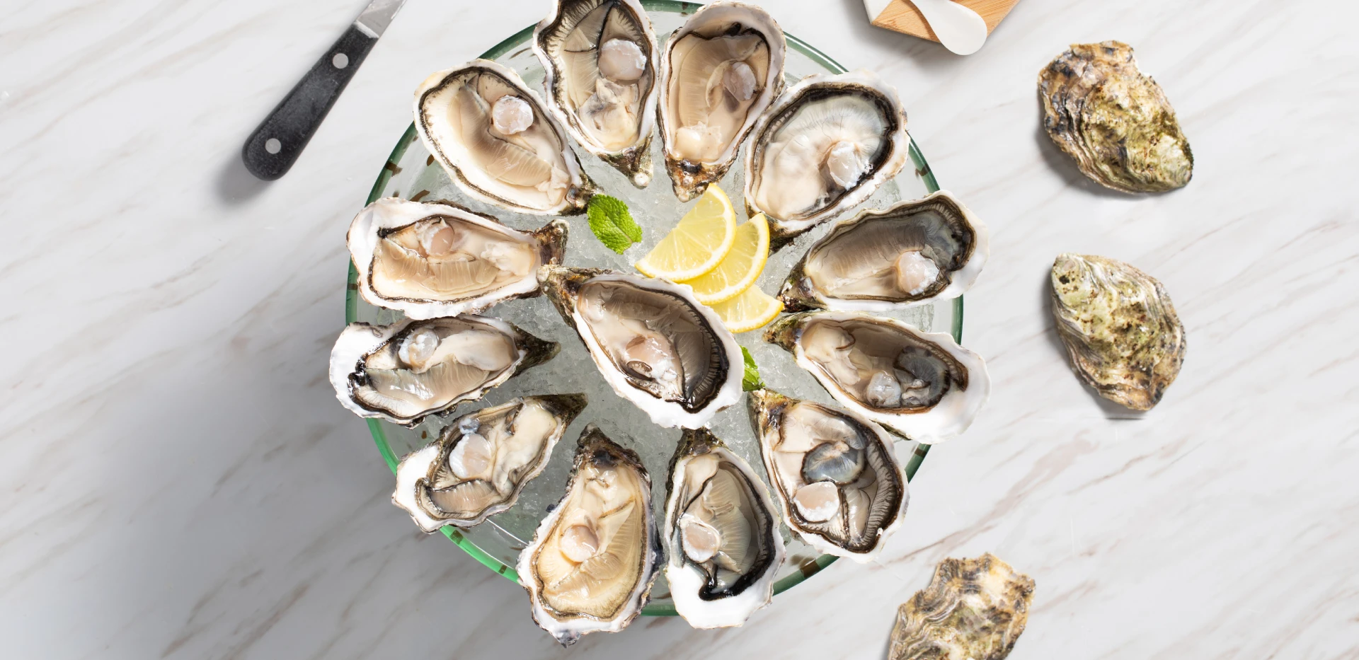 Oyster_1920x933