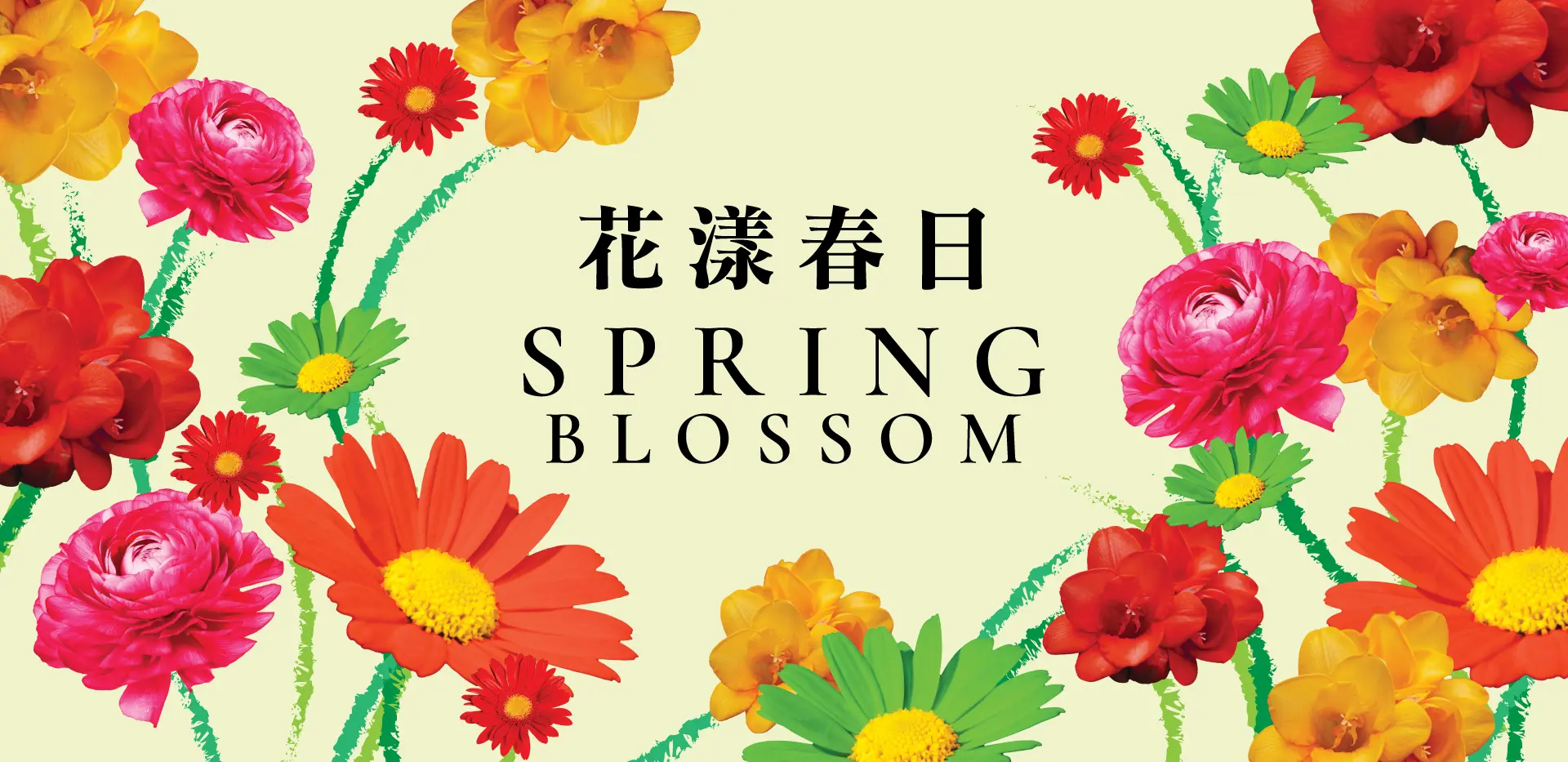 Spring-Blossom-KV_Adaptations_Banner_1920x933