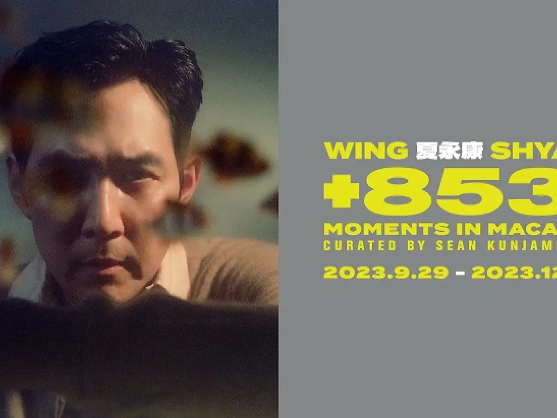 Wingshya_KV_547x411