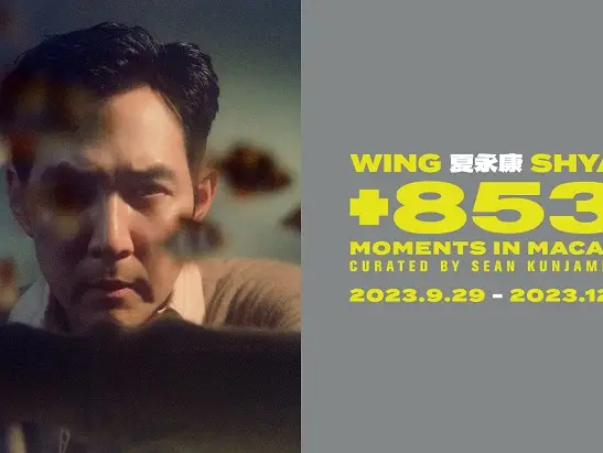 Wingshya_KV_547x411