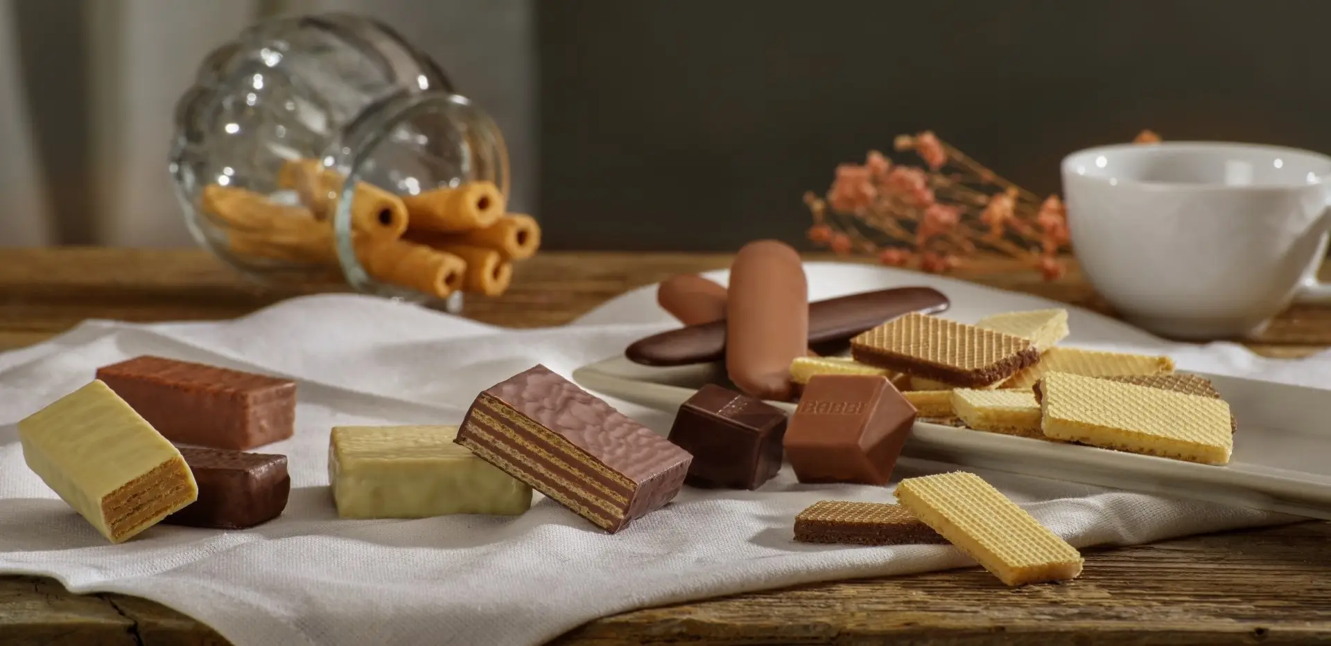 babbi_webpage_banner_2