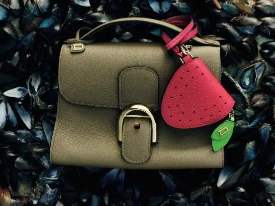 delvaux_new_collection_Inner_6