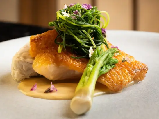 kinki_and_taranome_1