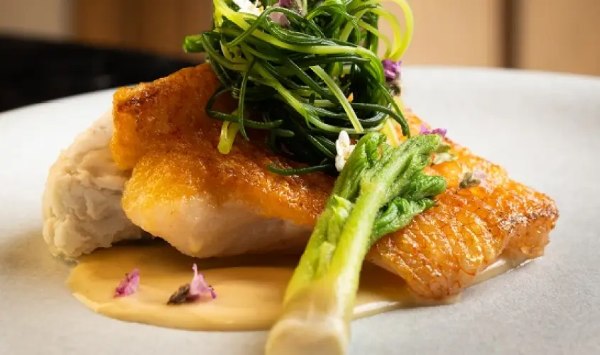 kinki_and_taranome_1